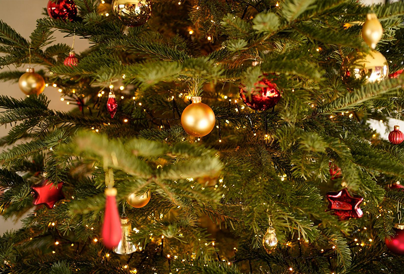 How to Decorate your Perfect Christmas Tree Whitehall Garden Centre