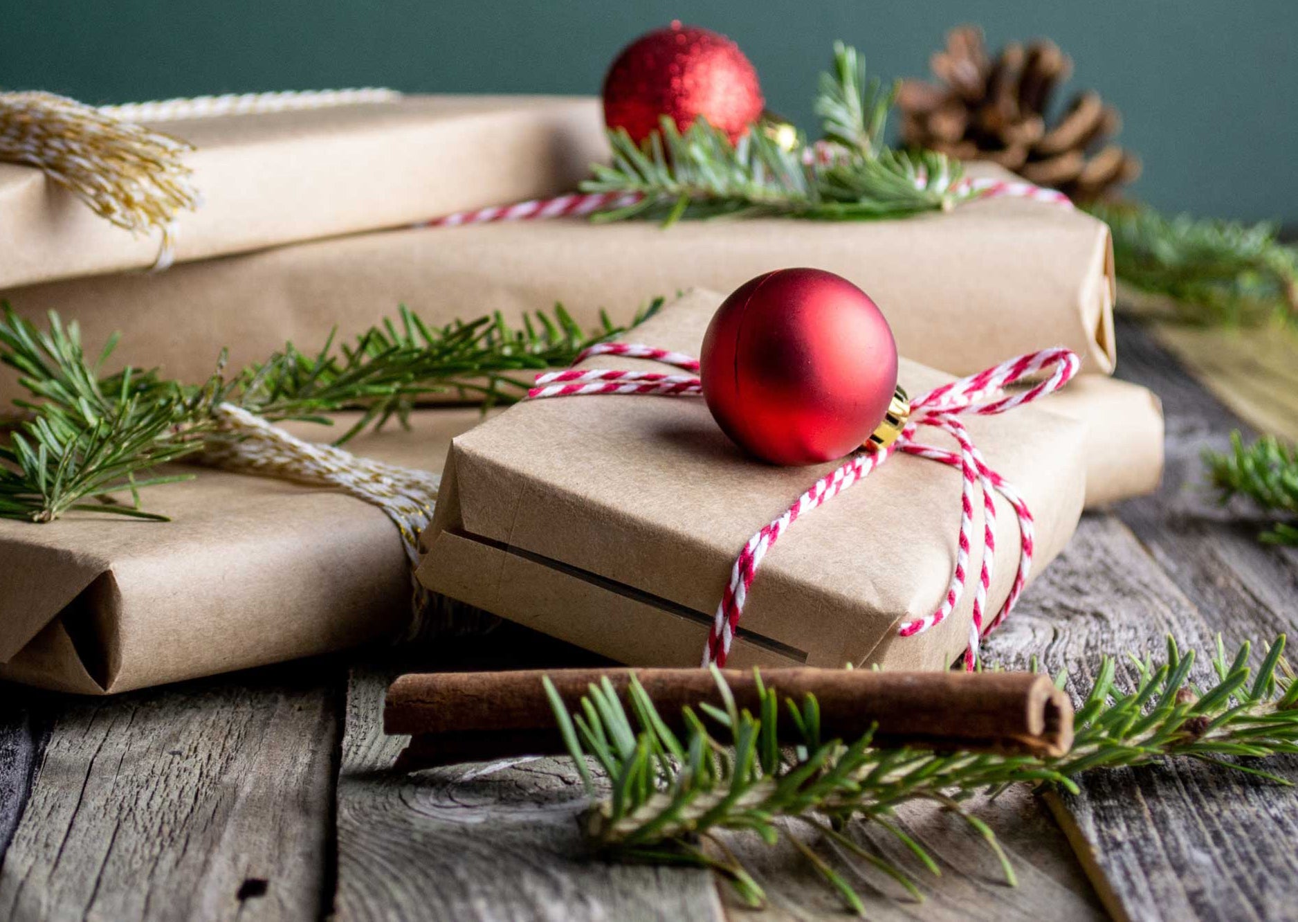 Christmas Gift Guide For Gardeners! – Whitehall Garden Centre