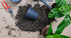 House Plant Feed & Compost