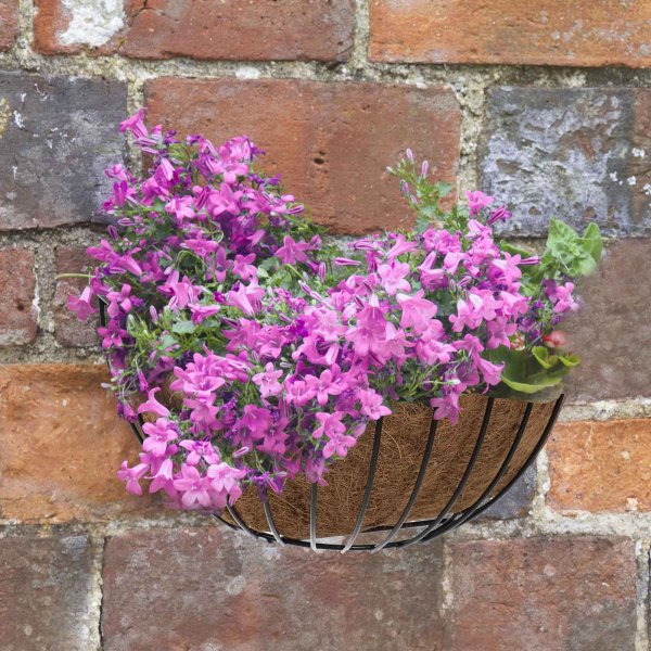ClassicWall Basket 16"