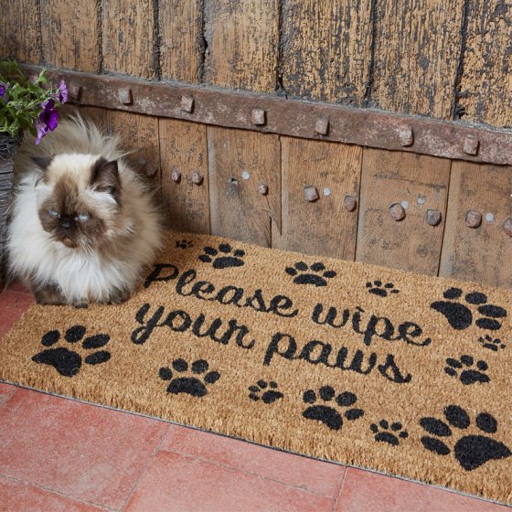 Wipe Your Paws Mat 45x75cm