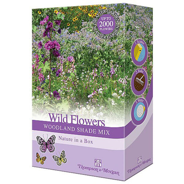 Wild Flower Woodland Shade Scatter Pack