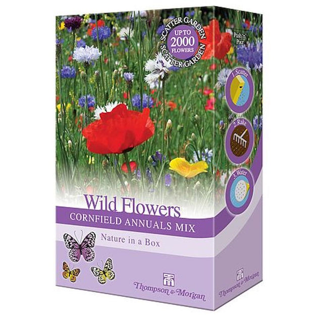 Wild Flower Cornfield Annuals Scatter Pack