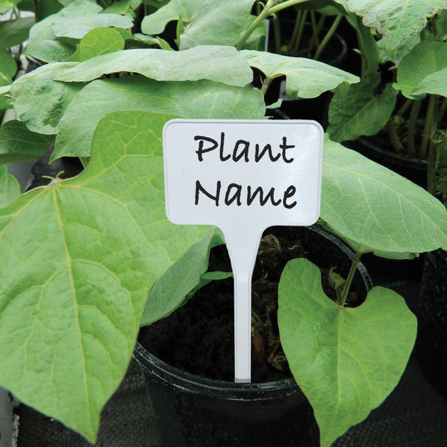 Tee Plant Labels