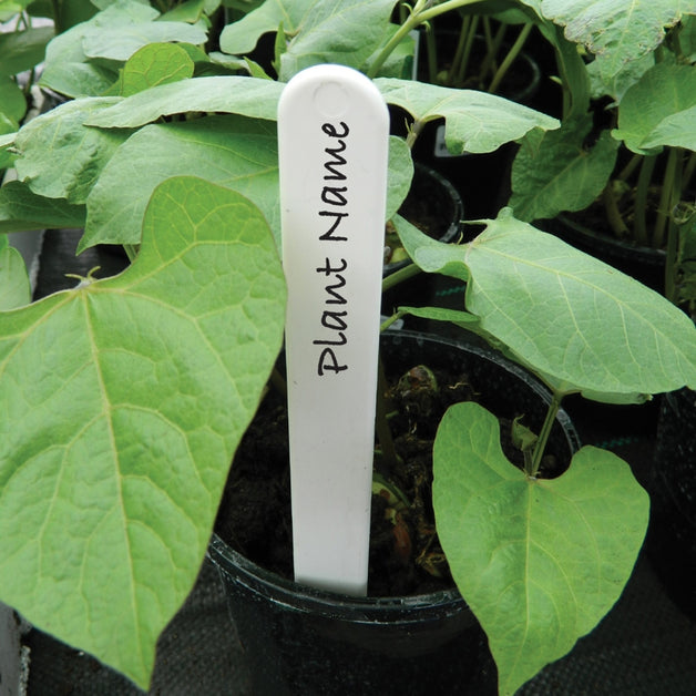 White Plant Labels 4" 50 Pack