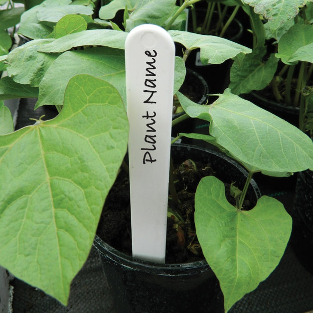 White Plant Labels 6" 50 Pack