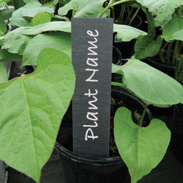 Slate Plant Labels 5" 5 Pack