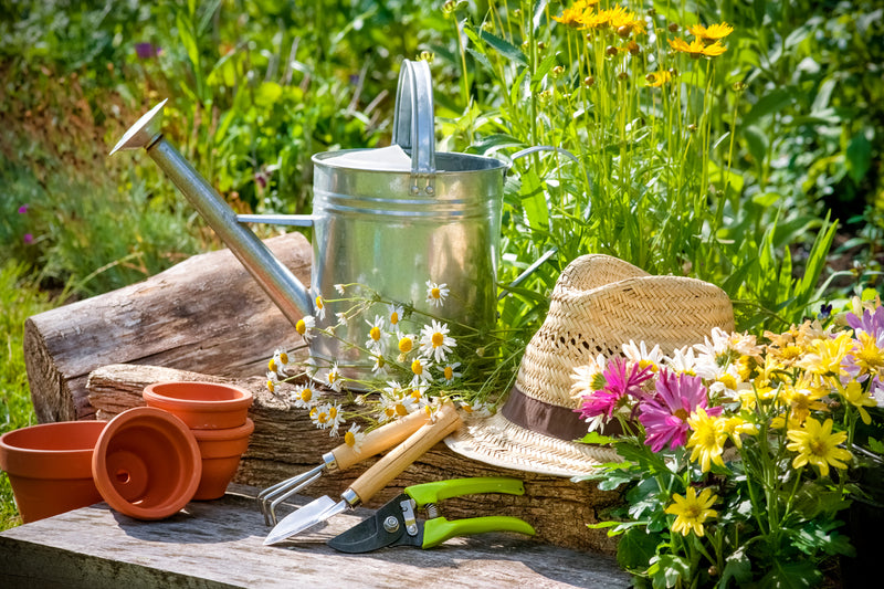 15 gardening tips for April-image