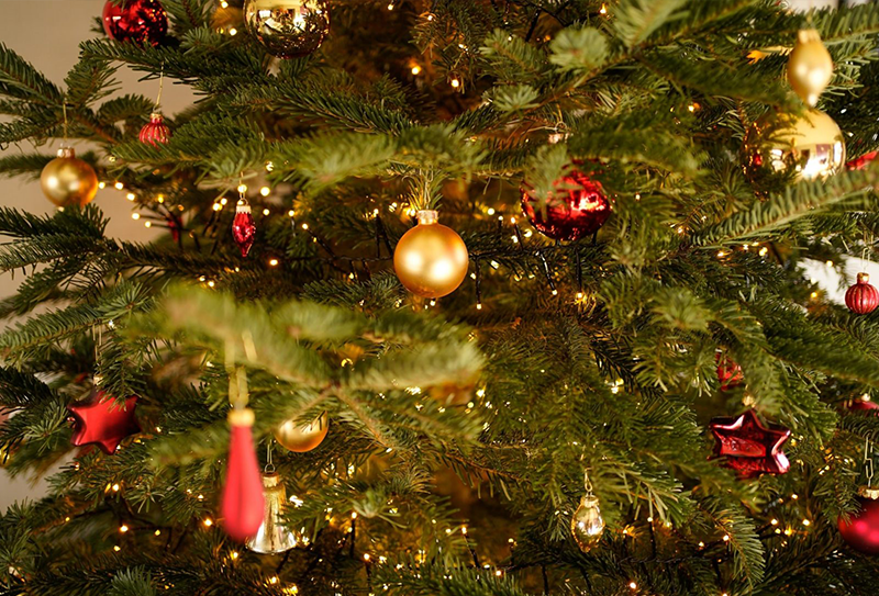 How to Decorate your Perfect Christmas Tree-image