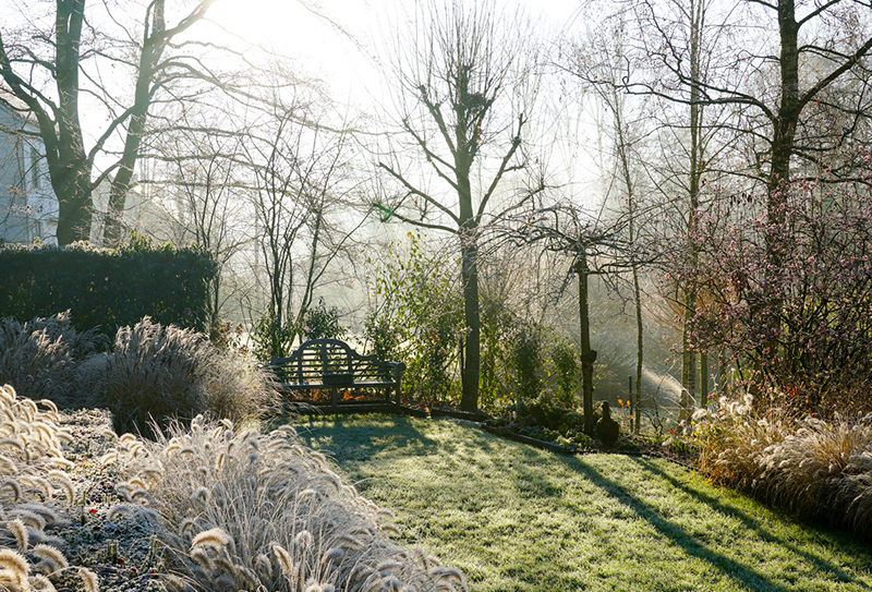What's going on in the garden in January?-image