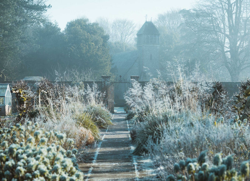 Wrap up your garden this winter with Whitehall-image