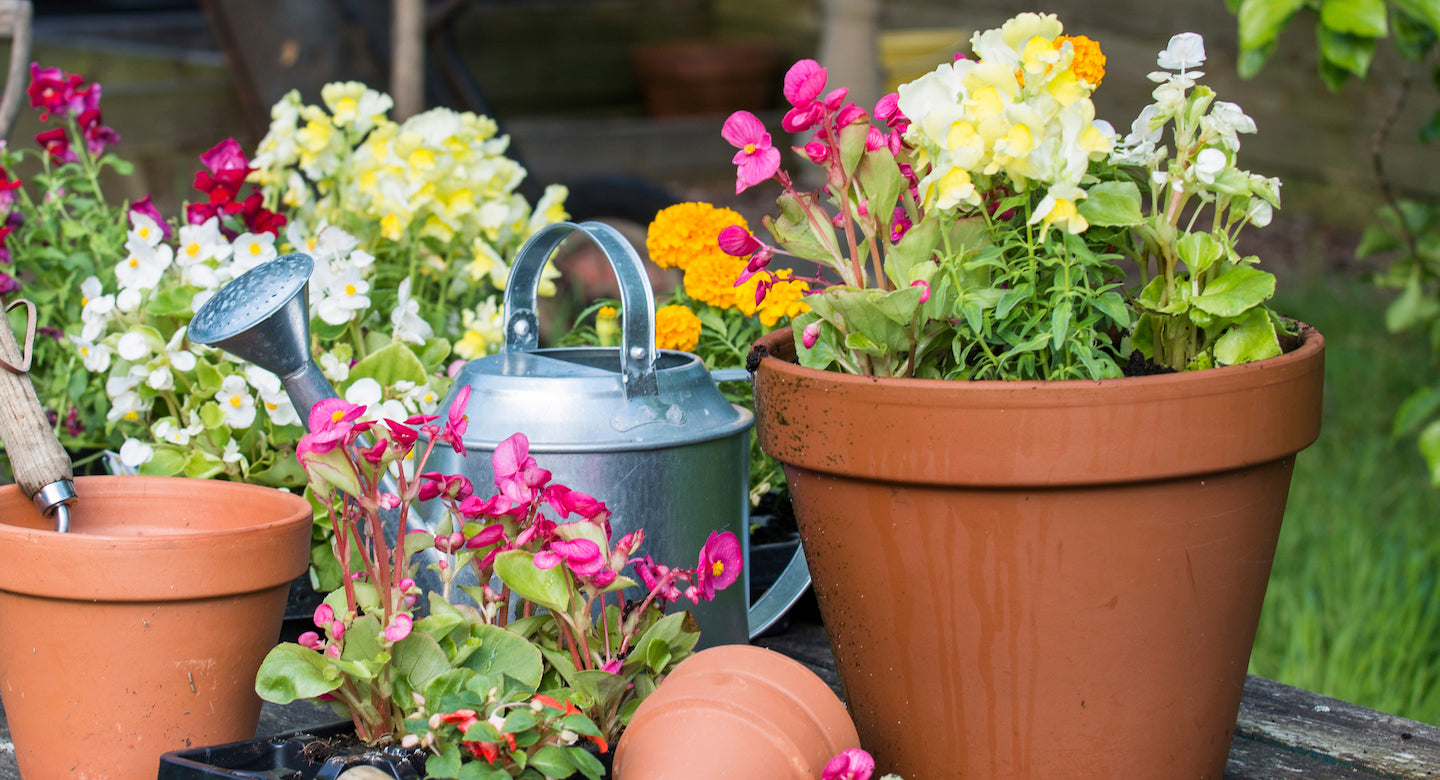 Planters & Pots Page 4 Whitehall Garden Centre