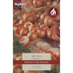 Red Sun - Shallots