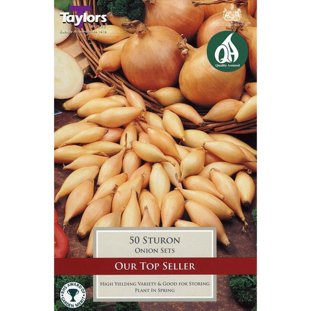 Sturon - Onions