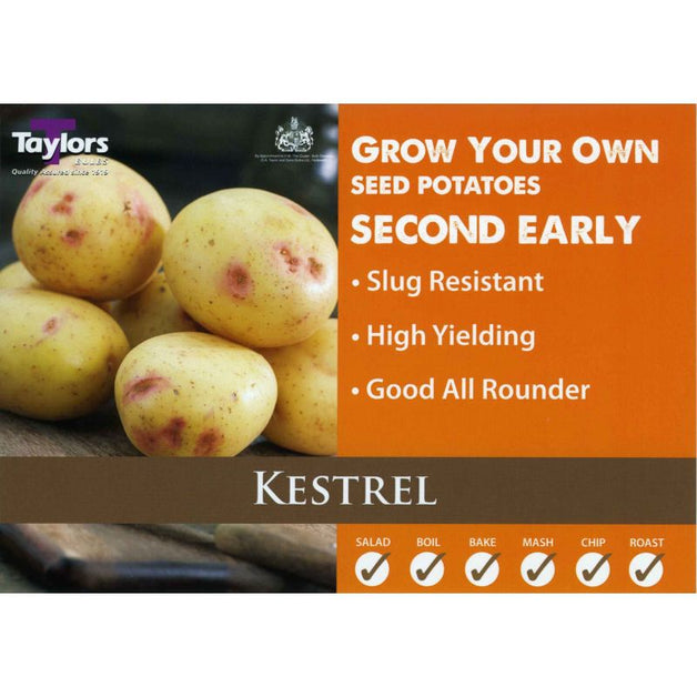 Kestrel - Second Early Seed Potatoes