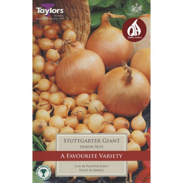 Stuttgarter Giant - Onions