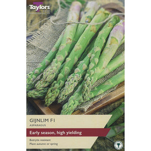 Gijnlim F1 - Asparagus
