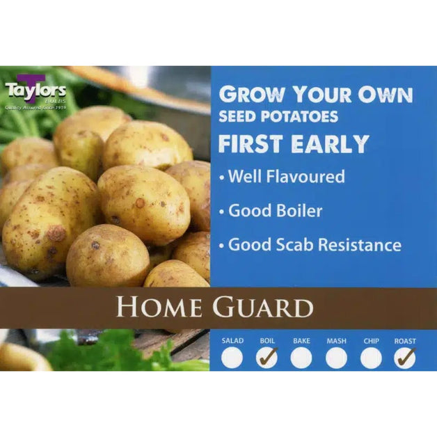Home Guard - First Early Seed Potatoes