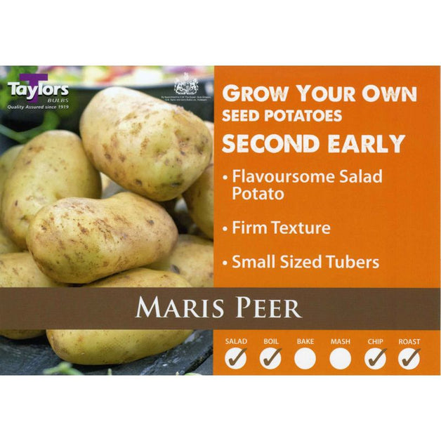 Maris Peer - Second Early Seed Potatoes