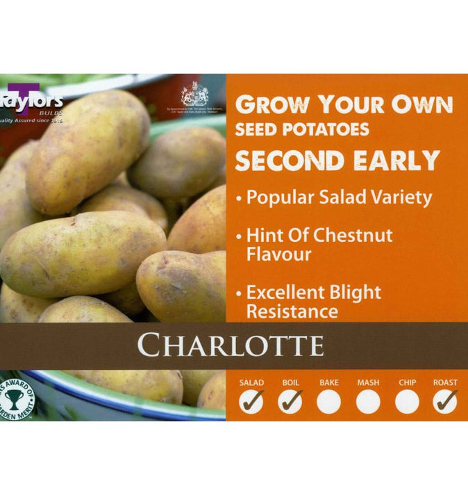 Charlotte - Second Early Seed Potatoes