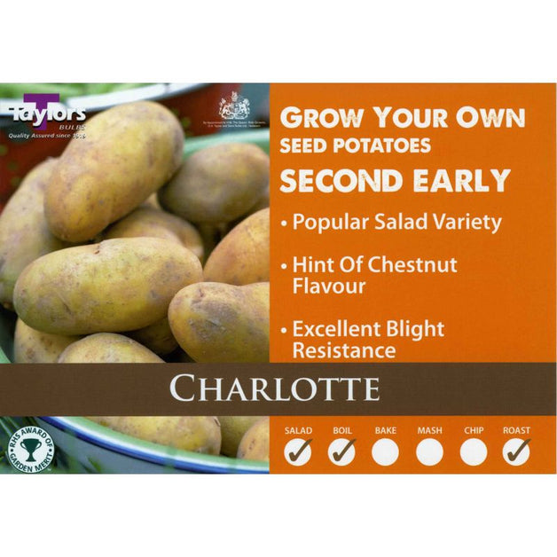 Charlotte - Second Early Seed Potatoes