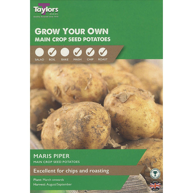 Maris Piper - Main Crop Seed Potatoes (Taster Pack)