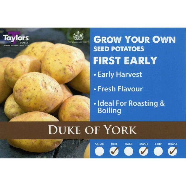 Duke Of York - First Early Seed Potatoes