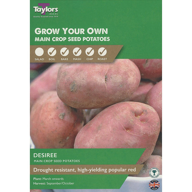 Desiree - Main Crop Seed Potatoes (Taster Pack)