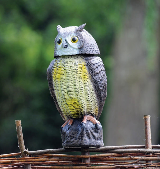 Wind Action Owl
