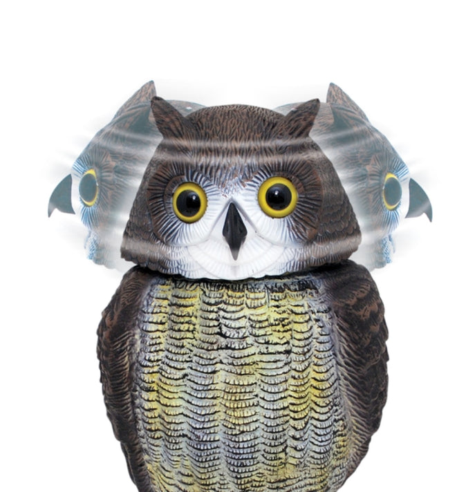 Wind Action Owl