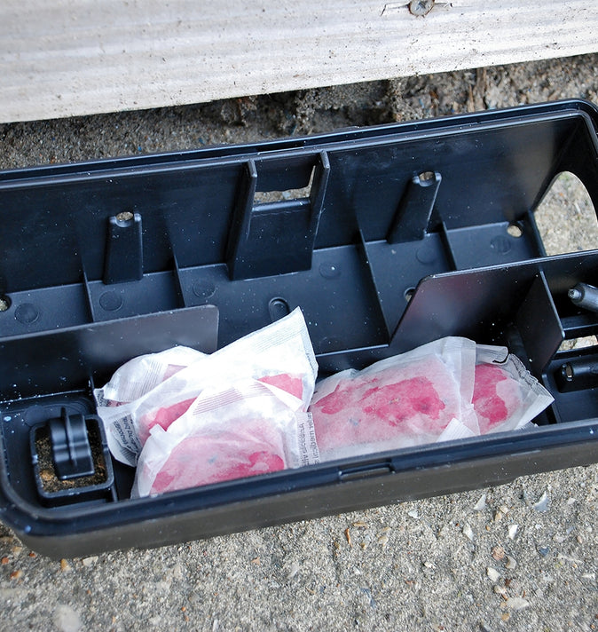 Mouse & Rat Killer 6 Pack