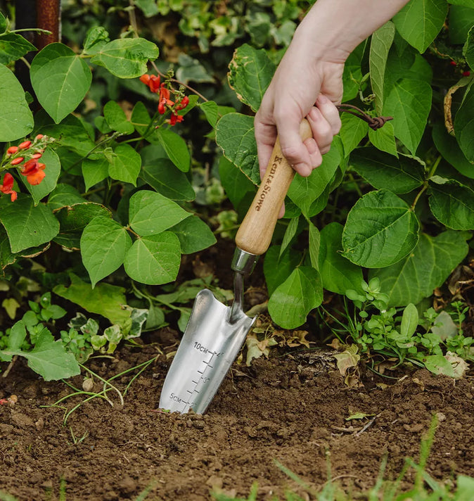 SS Hand Transplanting Trowel