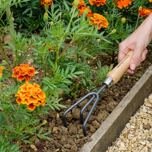 Kent & Stowe CS Hand 3 Prong Cultivator