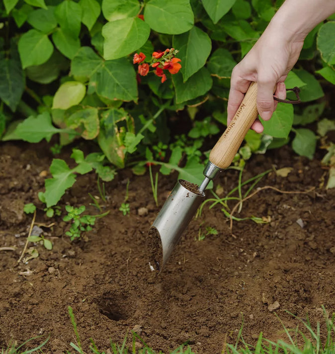 SS Small Bulb Planter