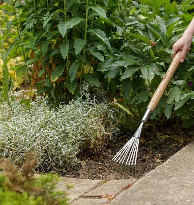 SS Border Hand Shrub Rake