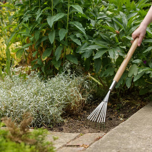 SS Border Hand Shrub Rake