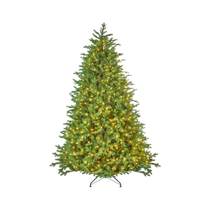 Princeton Medium 6.5ft Pre-Lit (A24)