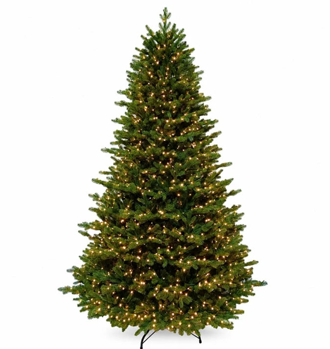 Grandvalaria 7ft Pre-Lit (A40)