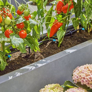 Micro-Drip-Irrigation Terrace Set (30 plants)