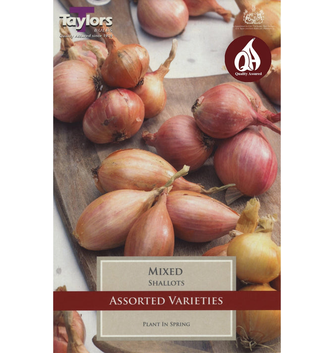 Mixed - Shallots