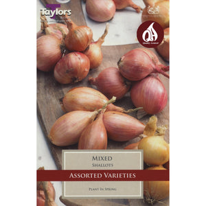 Mixed - Shallots