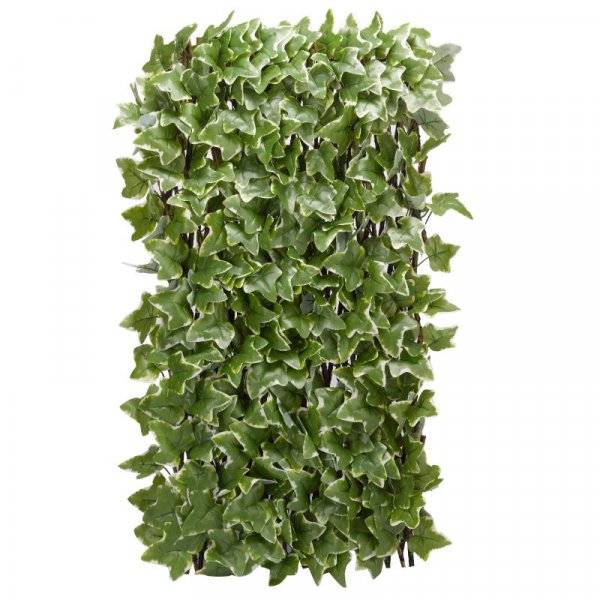 Ivy Leaf Trellis 180x60cm