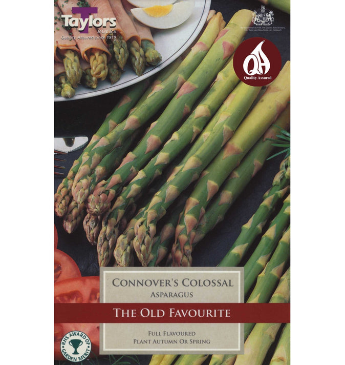 Connovers Colossal - Asparagus
