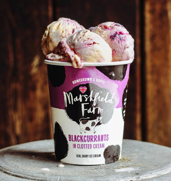 2 Scoops Marshfield Icecream