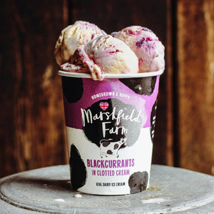 2 Scoops Marshfield Icecream