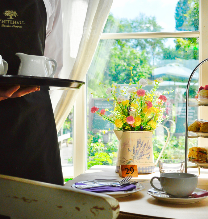 Valentines Afternoon Tea In Lavender Lodge
