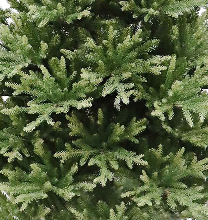 Alta Pine 6ft Un-Lit (A9)