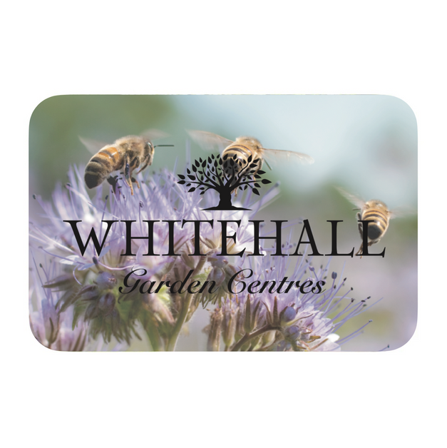 Whitehall Gift Card - Bees