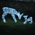 Premier Acrylic Mother & Baby Reindeer with Cool White Lights