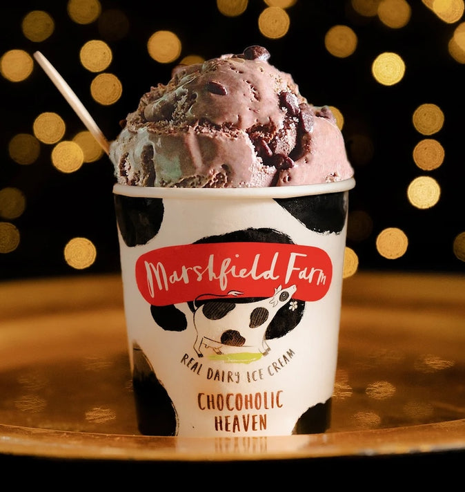1 Scoop Marshfield Icecream